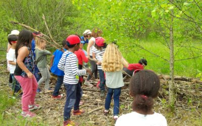 chasse au trésor en immersion nature
