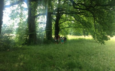 aidons notre planète