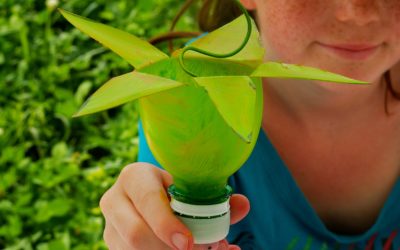 recycler, pour-quoi faire ?